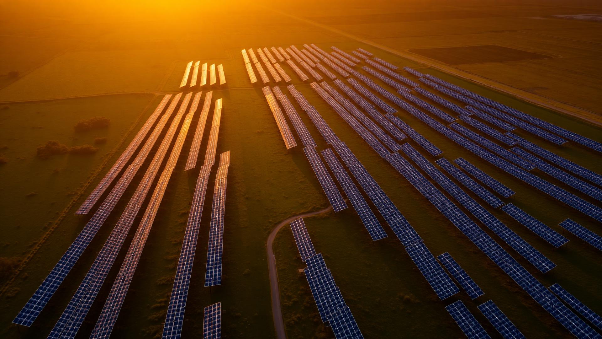 Solar farm at golden hour